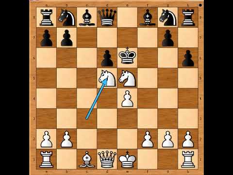 Neverovatni, zastrašujući napad ‼️ KROGIUS vs OJANEN # 2513