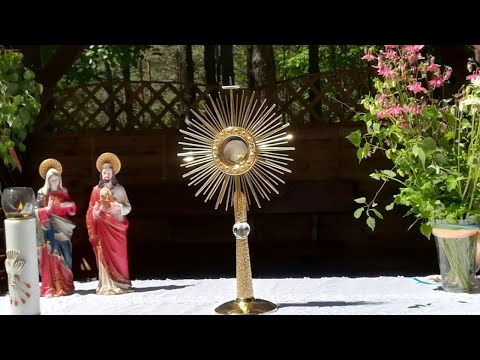 Adoracja Najświętszego Sakramentu - Pustelnia online - 20.06.2021