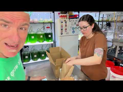 Marine Microbiology Isolation Kit Unboxing and Walkthrough