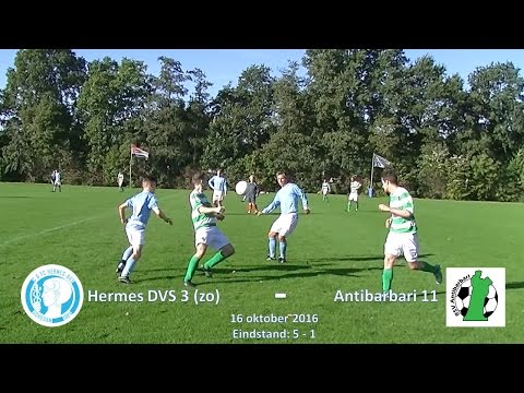 Samenvatting Hermes DVS 3 (zo) -  Antibarbari 11