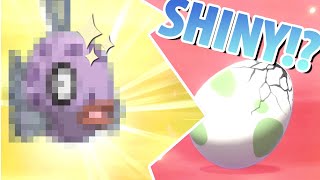 Pokemon: Sword | Reaction - Shiny Feebas!