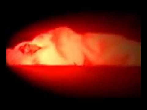 Download Alam Kubur Mp3 Lagu - Download Lagu