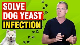 Dog Yeast Infection Home Remedy (5 Natural Treatments For Yeast Infections in Dogs)