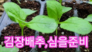 김장배추,김장무심을준비 필요한 농약들~배추심는간격 시기, 귀농귀촌,인간극장,전원일기,텃밭,주말농장