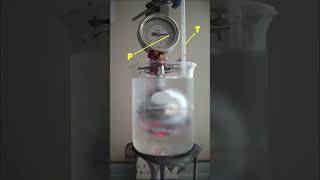 Gas law demonstration - Gay Lussac's law #physics #physicsexperiment #demonstration