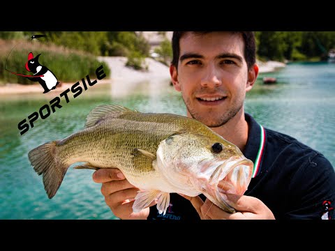 BASS in clear water with GUNKI C'ELL WORM