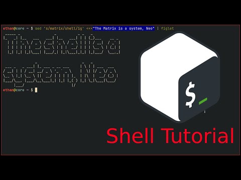 Tips and Secrets to Shell Efficiency