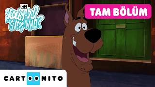 En İyi Maceralar Bir Arada! | SCOOBY-DOO VE BİL BAKALIM KİM? | @CartoonitoTurkiy