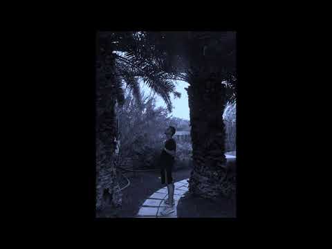 DAVKO - UTRACIM PENIZE