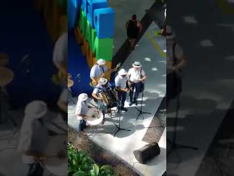 Alcimar Monteiro dando um show no Aeroporto de Recife
