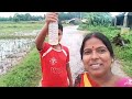 গ্রামের পরিবেশে বর্ষায় মাঠে মাছ ধরা B