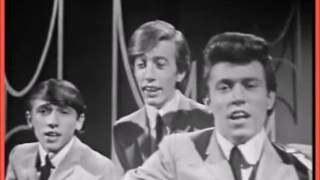 ♫ Bee Gees ♥ Wine &amp; Women ♫