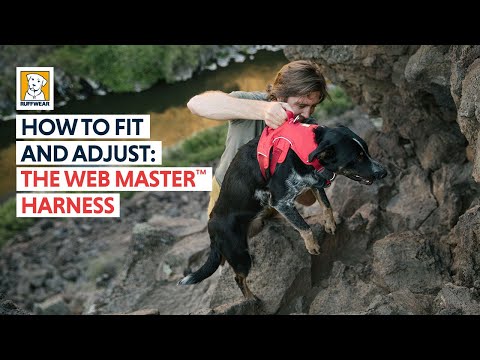 Video su Pettorina Web Master di Ruffwear