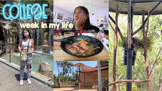 busy & productive college week in my life! uci freshman