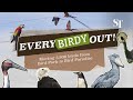 Every Birdy Out Moving 3 500 Birds From Bird Park To Bird Paradise