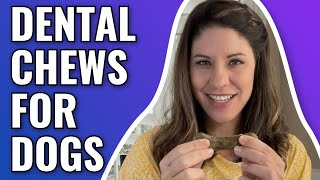 Best Dental Chews for Dogs (WE TRIED THEM ALL!)