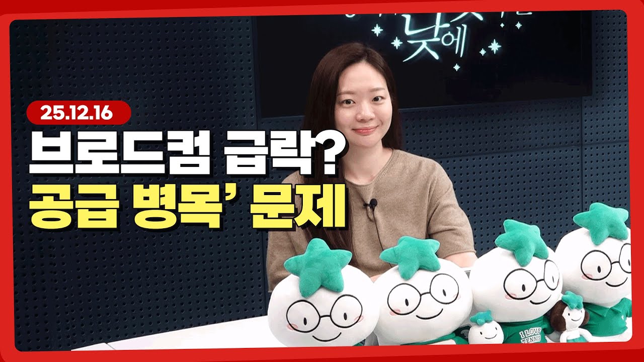 브로드컴 급락에서 찾는 기회 l 251216 l 쏭디의 돈이 빛나는 낮에