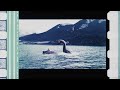 The Water Horse 2007 35mm Film Trailer Flat Hard Matte 16 9 Ratio 2560x1440