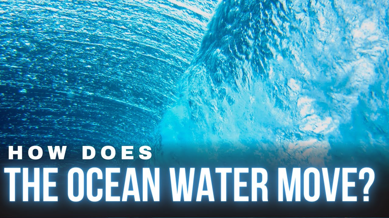 What is a constant flow of sea water? Tipseri