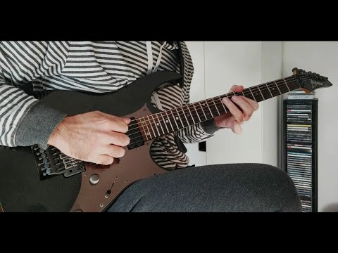 Ozzy Osbourne - S.I.N. - Zakk Wylde - Guitar Solo Cover