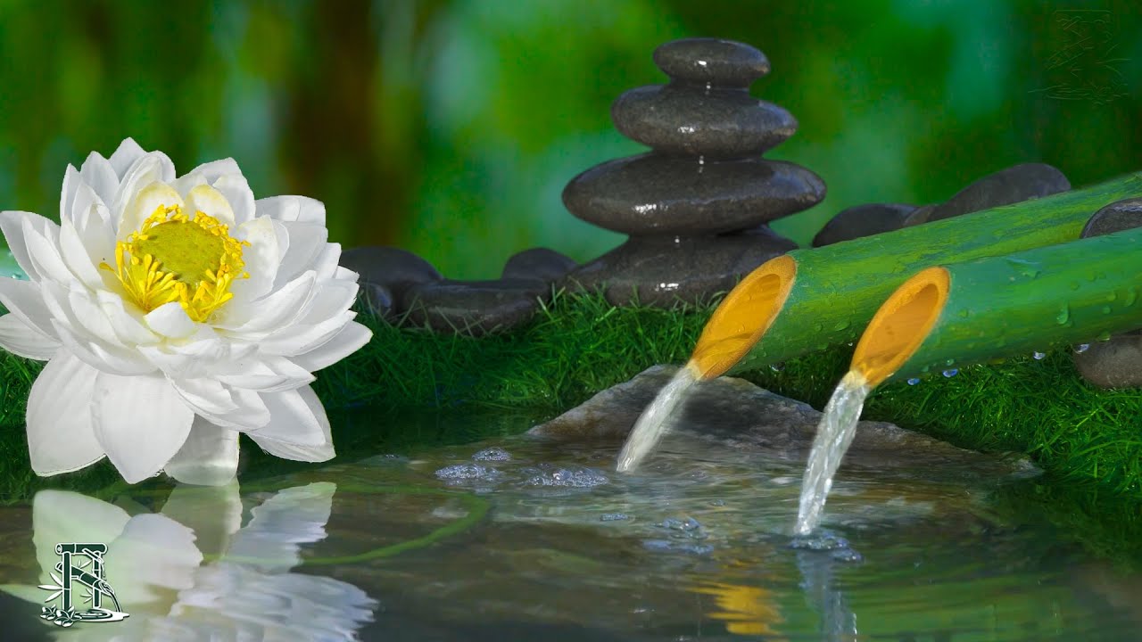 Relaxing Music to Reduce Stress, Anxiety and Depression 🎶 Healing the Mind, Deep Sleep,Body and Soul