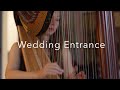 Taylor Swift Inspired Wedding Ceremony Entrance!