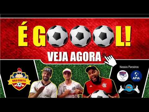 Gol do Santos contra o Coritiba, Golaço de Marinho, Santos 1 x 0 Coritiba