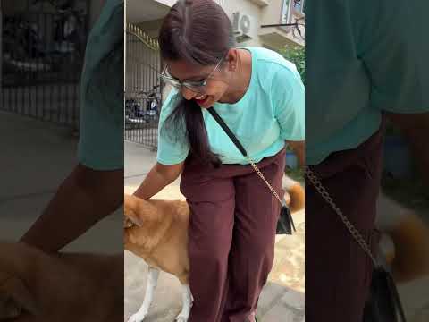 Street dog love #shorts #dog