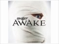 skillet awake and alive 