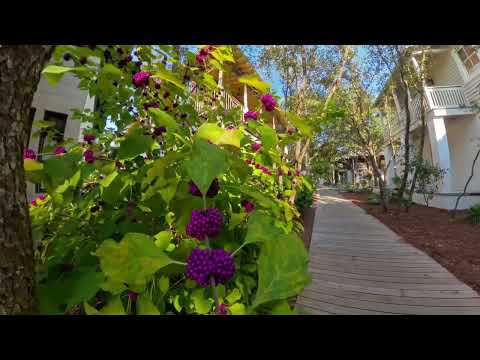Rosemary Beach Travel Guide. Florida's Secret Paradise.