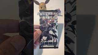 오늘의 포켓몬 카드깡 #포켓몬카드 #포케몬카드깡 #포켓몬 #포켓몬카드깡 #포켓몬카드개봉 #pokemon #pokemoncards #포켓몬스터 #pokemontcg #블랙볼트