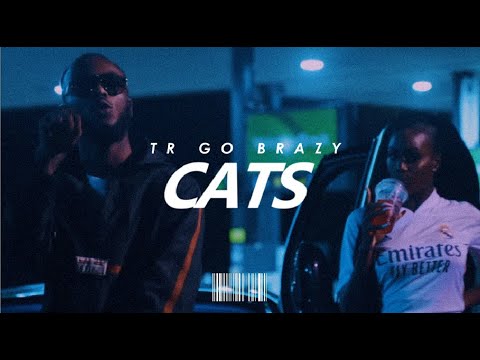 Frosty x DigDat x Headie One x Bandokay Type Beat - "Cats" | UK Drill Instrumental (Prod.TR)
