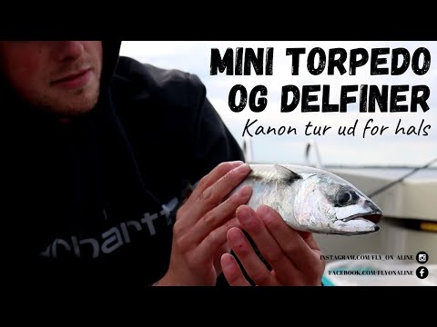 Makrelfiskeri med spinnestang og fluestang