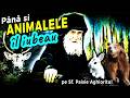 Mărturii Despre Sf PAISIE AGHIORITUL Până și ANIMALELE îl Ascultau Podcastul Oamenilor Simpli