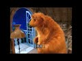 Bear In The Big Blue House Picture This Part 8 Finale