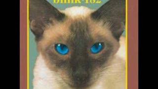 Blink 182 - Strings Cheshire Cat version lyrics