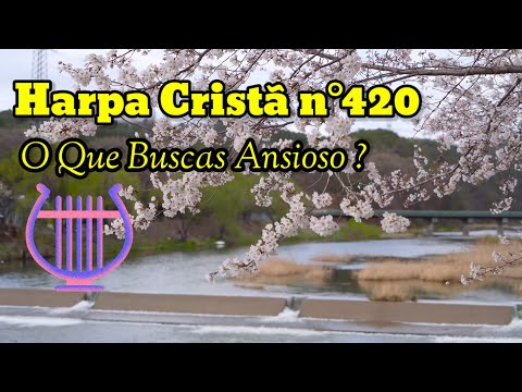 O QUE BUSCAS ANSIOSO ? 🍃Letra Abaixo 👇