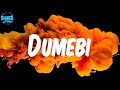 Rema - Dumebi (Lyrics)
