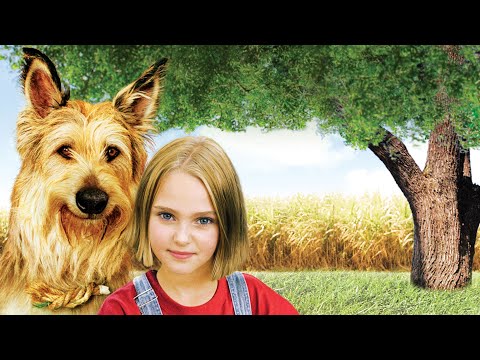 Because of Winn-Dixie Full Movie Facts & Review /  Jeff Daniels / Cicely Tyson