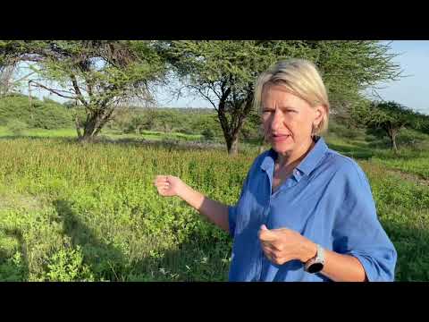 HERD Elephant Impact Project Phase 2