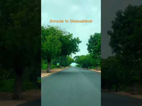 “Modified car, unmodified spirit. Cruise to the edge of India-Dhanushkodi!!! #AbilityInMotion