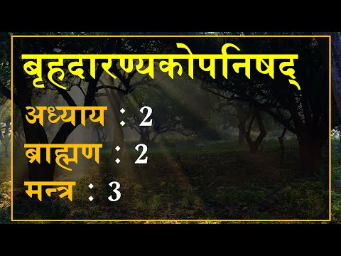 बृहदारण्यकोपनिषद् 2.2.3: मन्त्र अनुवाद एवं व्याख्या | Brihadaranyaka Upanishad 2.2.3