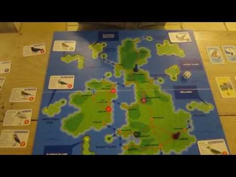 Wing It: How it works