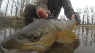 preview picture of video 'Flyfishing in Missoula, MT- Bitterroot River - Hookedonlife.net'