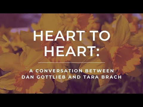 Heart to Heart: A Conversation Between Dan Gottlieb and Tara Brach about Pain, Love, and Loss