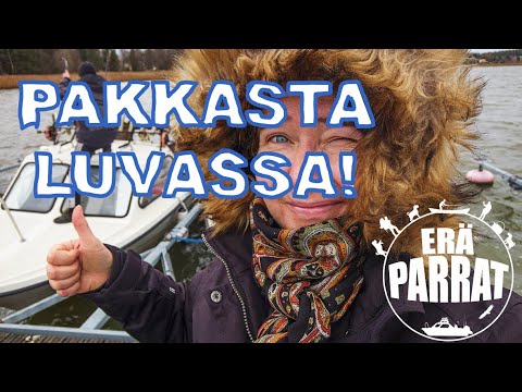 Pakkas-yö kotateltassa saaressa