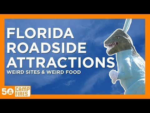 Florida Roadside Attractions :  Weird Sites and Weird Food
