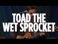 Toad the Wet Sprocket "New Constellation ...