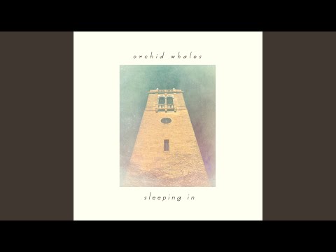 download lagu mp3 mp4 Trap X25, download lagu Trap X25 gratis, unduh video klip Trap X25