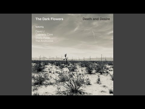 Bottom Of The River (feat. Gabriella Cilmi)